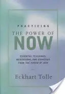 Pratiquer le pouvoir de l'instant présent : Méditations, exercices et enseignements fondamentaux pour vivre une vie libérée - Practicing the Power of Now: Meditations, Exercises, and Core Teachings for Living the Liberated Life