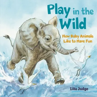 Jouer dans la nature : comment les bébés animaux aiment s'amuser - Play in the Wild: How Baby Animals Like to Have Fun