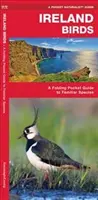 Oiseaux d'Irlande, 2e édition - Guide de poche pliable des espèces familières - Ireland Birds, 2nd Edition - A Folding Pocket Guide to Familiar Species