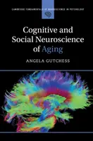 Neurosciences cognitives et sociales du vieillissement - Cognitive and Social Neuroscience of Aging