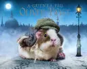 Le cochon d'Inde Oliver Twist - Guinea Pig Oliver Twist