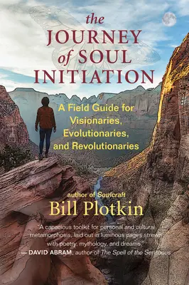 Le voyage d'initiation de l'âme : Un guide de terrain pour les visionnaires, les évolutionnaires et les révolutionnaires - The Journey of Soul Initiation: A Field Guide for Visionaries, Evolutionaries, and Revolutionaries