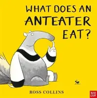 Que mange un fourmilier ? - What Does An Anteater Eat?