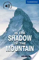 Dans l'ombre de la montagne Niveau 5 - In the Shadow of the Mountain Level 5