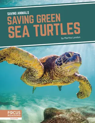 Sauver les tortues de mer vertes - Saving Green Sea Turtles