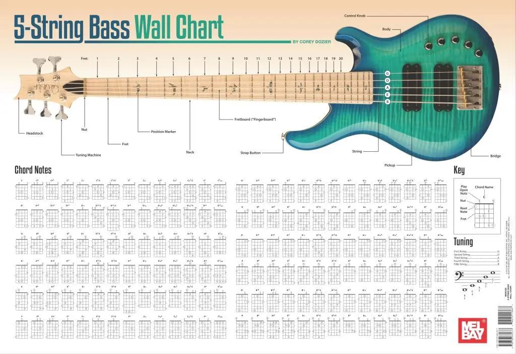 Tableau mural de la basse à 5 cordes - 5-String Bass Wall Chart