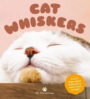 Moustaches de chat - Cat Whiskers