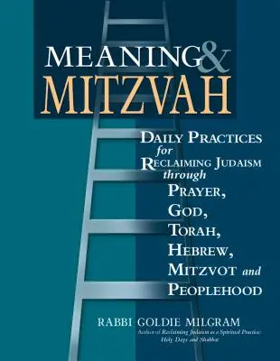 Sens et Mitzvah : Pratiques quotidiennes pour se réapproprier le judaïsme par la prière, Dieu, la Torah, l'hébreu, les mitzvot et le peuple - Meaning & Mitzvah: Daily Practices for Reclaiming Judaism Through Prayer, God, Torah, Hebrew, Mitzvot and Peoplehood