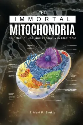 Les mitochondries immortelles : Notre santé, notre vie et notre longévité sont électroniques - The Immortal Mitochondria: Our Health, Life, and Longevity is Electronic