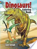 Dinosaures ! Livre à colorier - Dinosaurs! Coloring Book