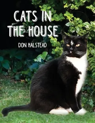 Les chats dans la maison - Cats in the House