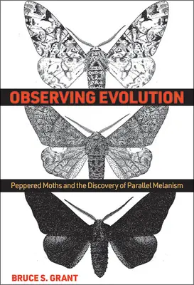 Observer l'évolution : Les papillons de nuit et la découverte du mélanisme parallèle - Observing Evolution: Peppered Moths and the Discovery of Parallel Melanism