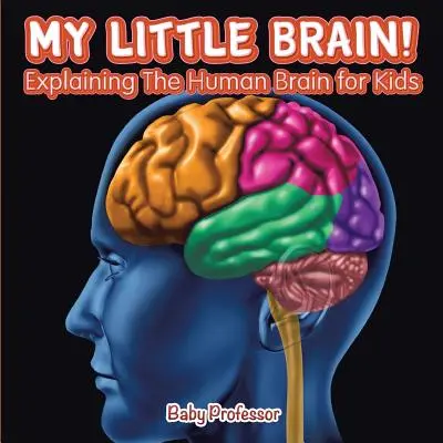 Mon petit cerveau ! - Explication du cerveau humain pour les enfants - My Little Brain! - Explaining The Human Brain for Kids