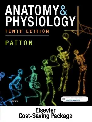 Anatomie et physiologie - Texte et manuel de laboratoire - Anatomy & Physiology - Text and Laboratory Manual Package