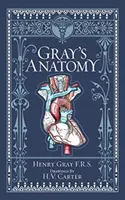 Anatomie de Gray (Barnes & Noble Collectible Classics : Omnibus Edition) - Gray's Anatomy (Barnes & Noble Collectible Classics: Omnibus Edition)