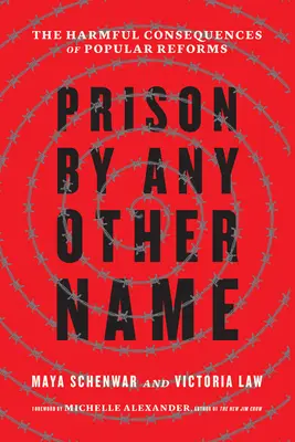 La prison sous un autre nom : Les conséquences néfastes des réformes populaires - Prison by Any Other Name: The Harmful Consequences of Popular Reforms