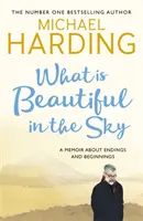 What is Beautiful in the Sky - Un livre sur les fins et les débuts. - What is Beautiful in the Sky - A book about endings and beginnings