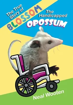 La véritable histoire de Blossom, l'opossum handicapé - The True Story of Blossom the Handicapped Opossum