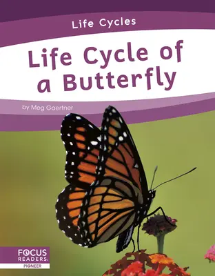 Cycle de vie d'un papillon - Life Cycle of a Butterfly