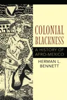 La noirceur coloniale : Une histoire de l'Afro-Mexique - Colonial Blackness: A History of Afro-Mexico