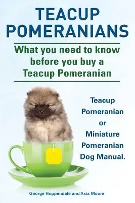 Poméraniens miniatures. Manuel du chien poméranien miniature ou poméranien Teacup. Ce qu'il faut savoir avant d'acheter un poméranien. - Teacup Pomeranians. Miniature Pomeranian or Teacup Pomeranian Dog Manual. What You Need to Know Before You Buy a Teacup Pomeranian.