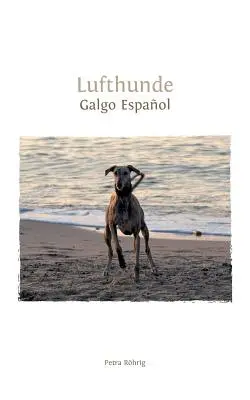 Lufthunde : Galgo Espaol - Lufthunde: Galgo Espaol