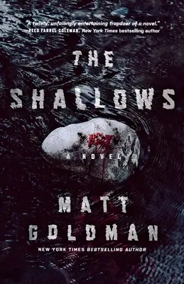 Les bas-fonds : Un roman de Nils Shapiro - The Shallows: A Nils Shapiro Novel