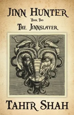 Le chasseur de djinns : Deuxième livre : Le Joueur de djinns - Jinn Hunter: Book Two: The Jinnslayer