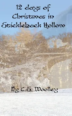 12 jours de Noël à Stickleback Hollow : Un mystère victorien britannique - 12 Days of Christmas in Stickleback Hollow: A British Victorian Cozy Mystery