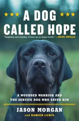 Un chien appelé espoir : le guerrier blessé des forces spéciales et le chien qui a osé l'aimer - A Dog Called Hope: The Special Forces Wounded Warrior and the Dog Who Dared to Love Him