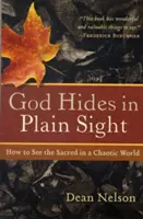 Dieu se cache à la vue de tous : comment voir le sacré dans un monde chaotique - God Hides in Plain Sight: How to See the Sacred in a Chaotic World