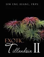 Tillandsia exotique II - Exotic Tillandsia II