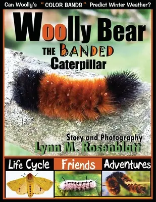 L'ours laineux, la chenille à bandes : Cycle de vie, amis et aventures - Woolly Bear the Banded Caterpillar: Life Cycle, Friends and Adventures