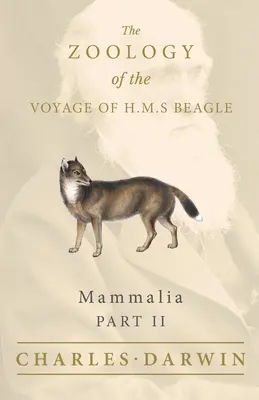 Mammalia - Part II - The Zoology of the Voyage of H.M.S Beagle (Les mammifères - Partie II - La zoologie du voyage du H.M.S Beagle) - Mammalia - Part II - The Zoology of the Voyage of H.M.S Beagle