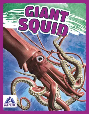 Calmar géant - Giant Squid