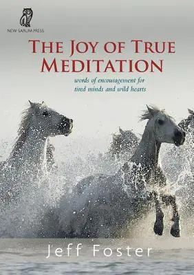 La joie de la vraie méditation : Des mots d'encouragement pour les esprits fatigués et les cœurs sauvages - The joy of True Meditation: Words of Encouragement for Tired Minds and Wild Hearts