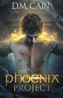 Le projet Phoenix - The Phoenix Project