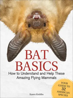 L'essentiel sur les chauves-souris : comment comprendre et aider ces étonnants mammifères volants - Bat Basics: How to Understand and Help These Amazing Flying Mammals