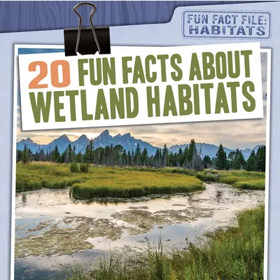 20 faits amusants sur les habitats humides - 20 Fun Facts about Wetland Habitats