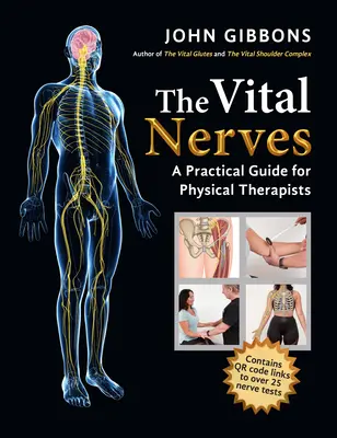 Les nerfs vitaux : Un guide pratique pour les physiothérapeutes - The Vital Nerves: A Practical Guide for Physical Therapists