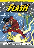 Flash et la tempête du siècle - Flash and the Storm of the Century
