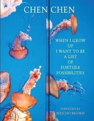 Quand je serai grand, je veux être une liste d'autres possibilités - When I Grow Up I Want to Be a List of Further Possibilities