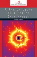Un rayon de lumière dans une mer de matière noire - A Ray of Light in a Sea of Dark Matter