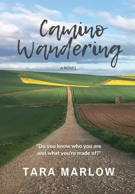 Camino Wandering - Hardback