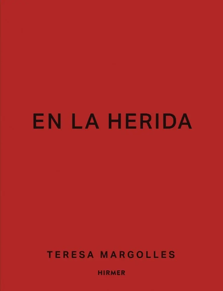 Teresa Margolles : En La Herida - Teresa Margolles: En La Herida