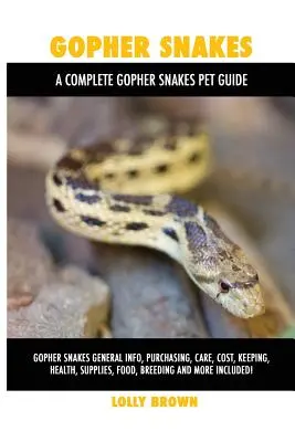 Serpents de Gopher : Informations générales sur les couleuvres, l'achat, les soins, le coût, l'élevage, la santé, les fournitures, la nourriture, l'élevage et bien plus encore ! A Com - Gopher Snakes: Gopher Snakes General Info, Purchasing, Care, Cost, Keeping, Health, Supplies, Food, Breeding and More Included! A Com