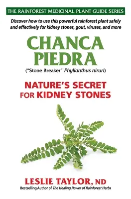 Chanca Piedra : le secret de la nature pour les calculs rénaux - Chanca Piedra: Nature's Secret for Kidney Stones