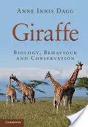 Girafe - Giraffe