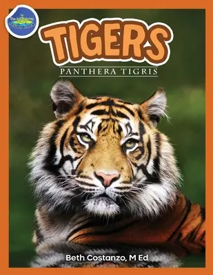 Tigres, Panthera Tigris pour les 2-4 ans - Tigers, Panthera Tigris ages 2-4