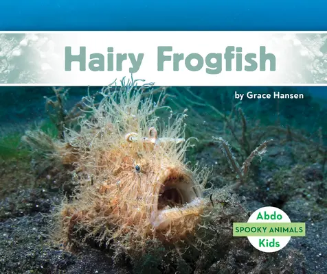 Poisson-grenouille poilu - Hairy Frogfish